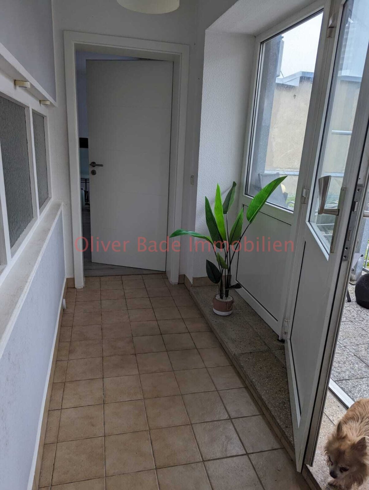 1OG mit zugang Dachterrase 1OG mit zugang Dachterrase